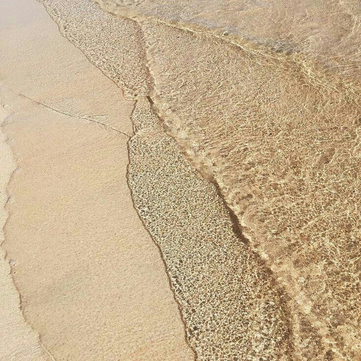 Beige Light Brown Aesthetic Shared Folder Innovative Demis Beige Light Brown Aesthetic Shared Folder Innovative Demis Amino