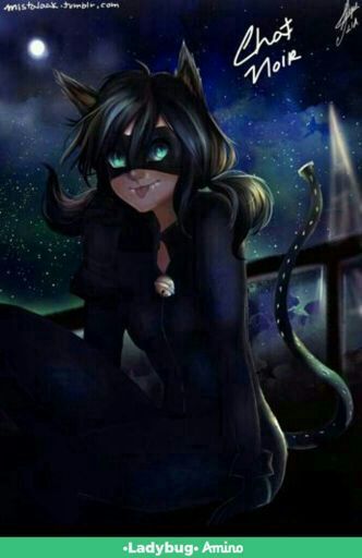 amino-chat noir-ab33e97e