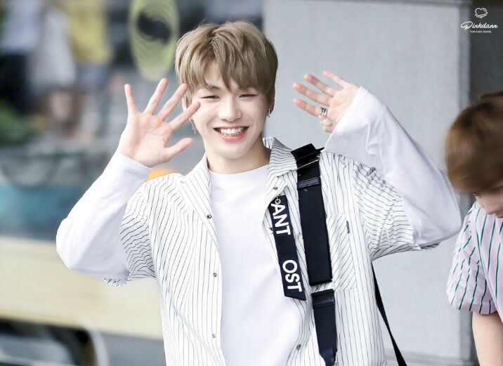 amino-Kang Daniel.❅-239229c0