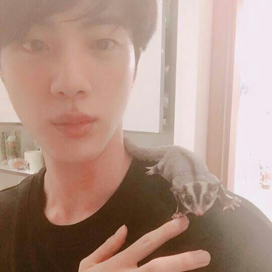 amino-•Kim Seok Jin•-4043a9b8