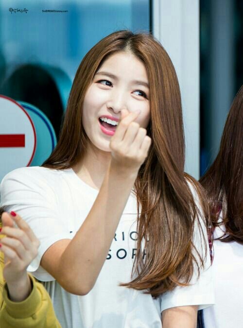 amino-⚘Sowon⚘-0a8c2cea