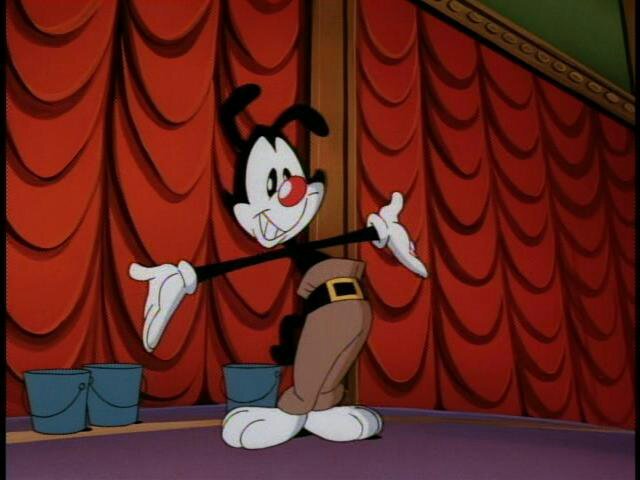 amino-Yakko Warner-52897b08