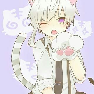 amino-Kayko/Neko/Cute/Female-2ef12c14