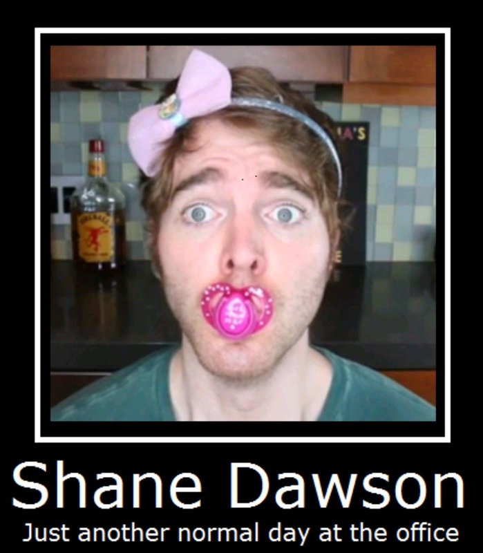 amino-Shane the pig-6479946f