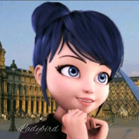 amino-💝🐞~Marinette Dupain Cheng/Ladybug/iris/angela~🐞💝-5d636cd5