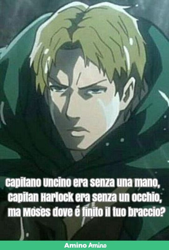 amino-Levi ackerman-4264a557