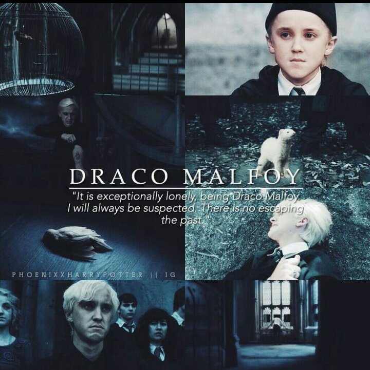 amino-Draco Malfoy-2e2c481c