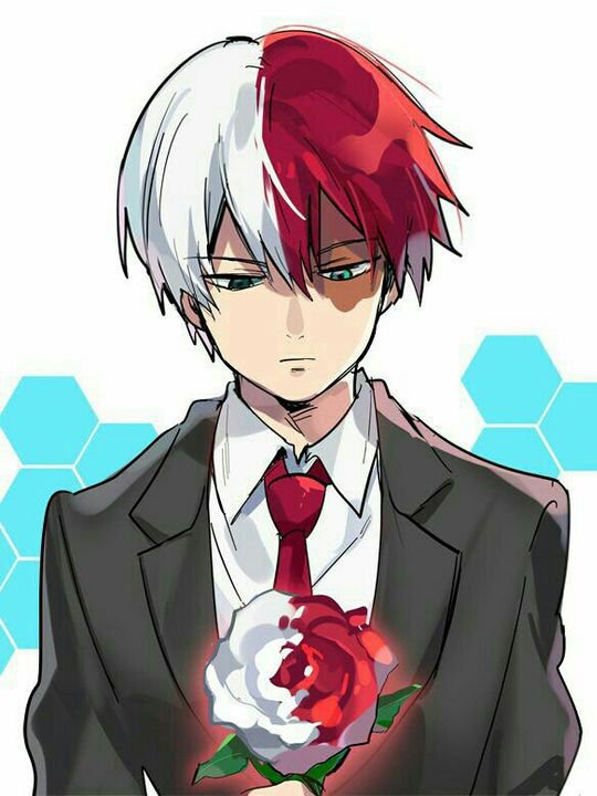 amino-°~• Kitsu • Fangirl de Shoto ~°-0ae308aa