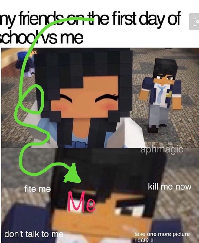 Aphmau Memes Shared Folder Aphmau Amino 2164