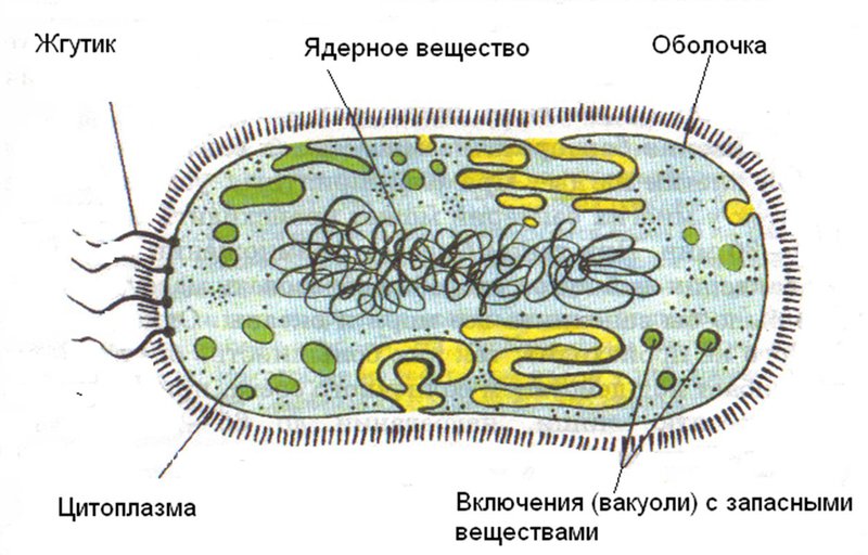 amino-Керн-5e13d6e8