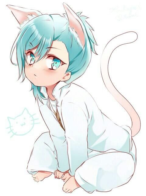 amino->> ▪▪ ◇AYANE || NEKO ◇ ▪▪ <<-4d70ddfd