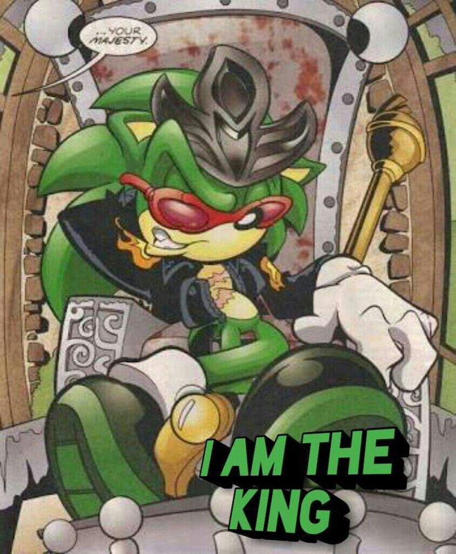 amino-💧👍⚐🕆☼☝☜ ❄☟☜ ☟☜👎☝☜☟⚐☝ (Scourge The Hedgehog) #Ruru-958d9b47