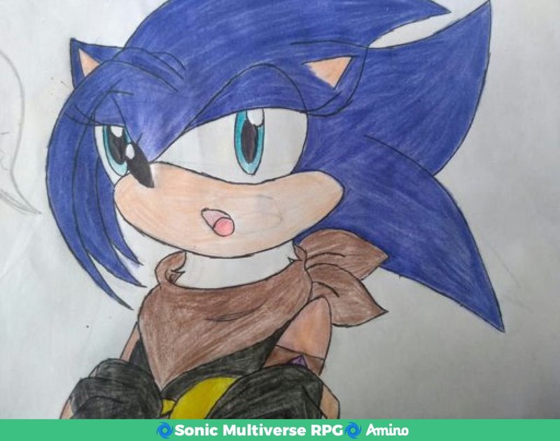 amino-Ray the hedgehog-a2ce788a