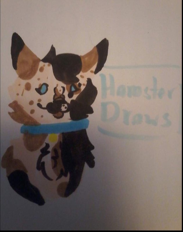 amino-WarriorCats-f49d1cc0