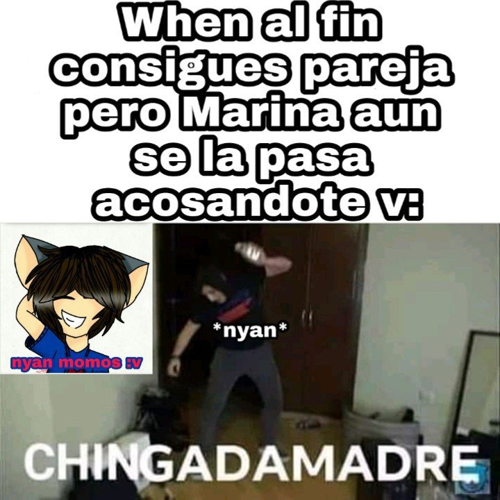 amino-Nyan El Furro-e71dbffc