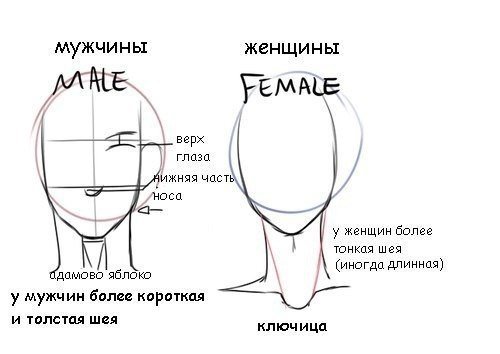 amino-белый фломастер-1a2fd8dd