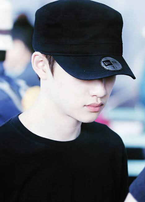 amino-stevia{ suho}-20fbb82b