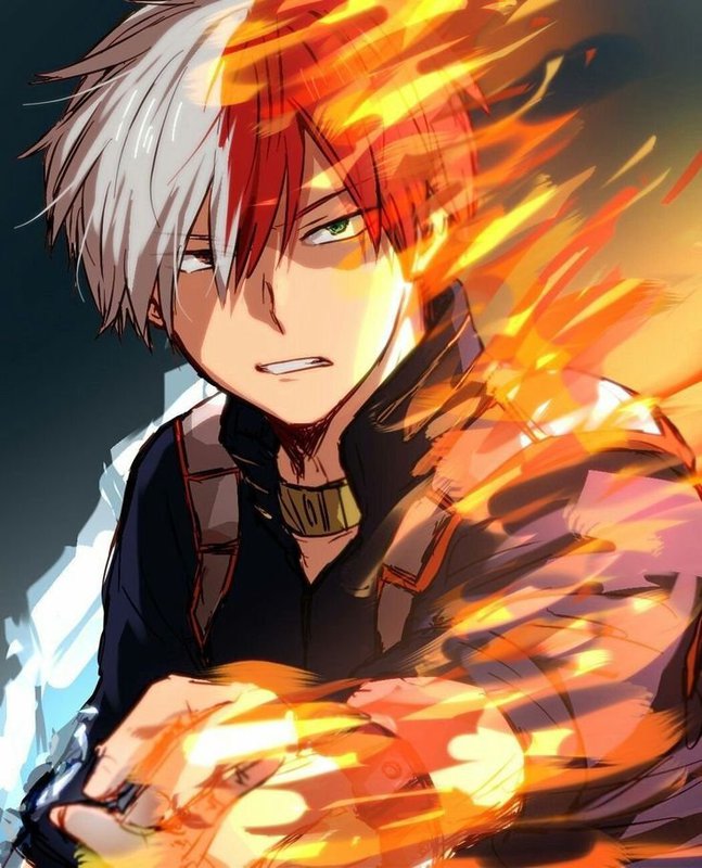 amino-❄/✧Todoroki Shoto✧/🔥-55e841f4