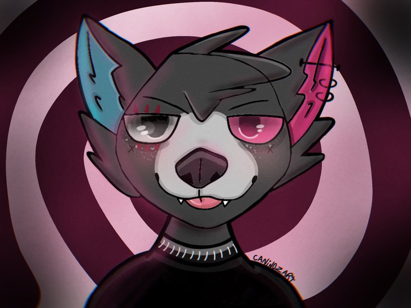 amino-||caninozart||-4977aded