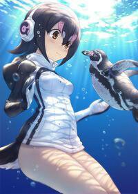 amino-🐧Pengu the pingu 🐧-1337c3b7