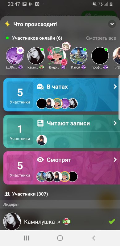 amino-Камилушка :>-00e2a6f3