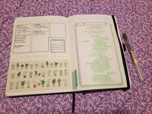 amino-bullet-journal-lynaejournals-ac01c7a7