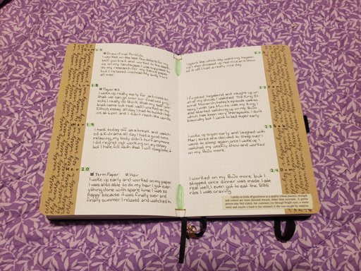 amino-bullet-journal-lynaejournals-a3e8a9b7
