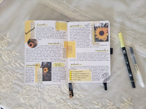 amino-bullet-journal-lynaejournals-1b853158
