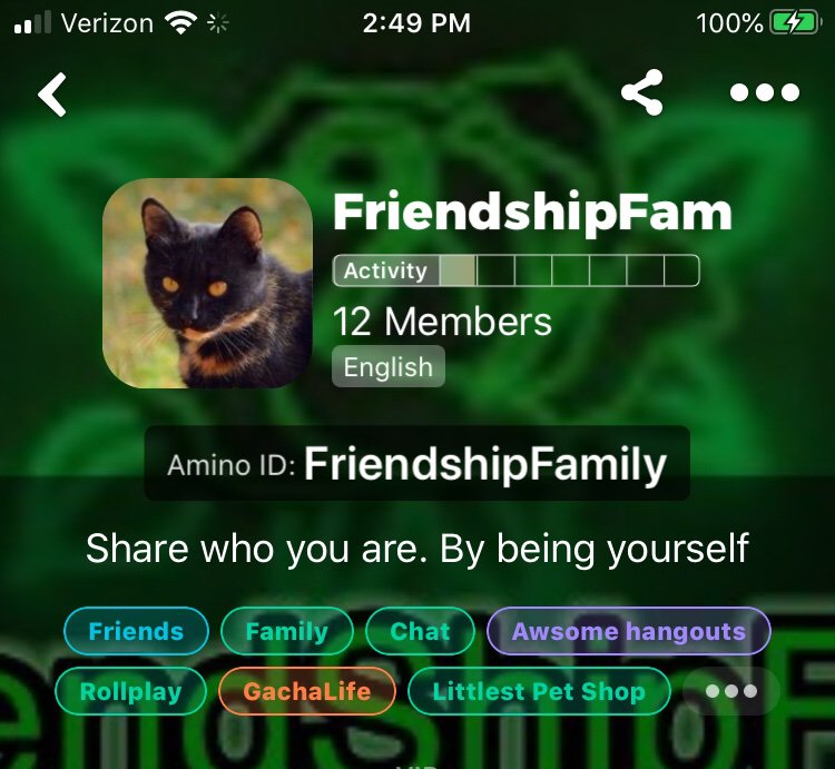 amino-MochaCat99_ Official-97e19f67