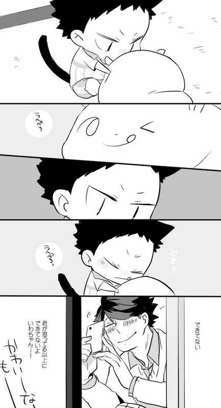 amino-Iwaoi-2809afef