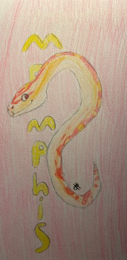 amino-TreesTheSnake-dd660d92