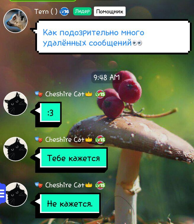 amino-╳°~•Кр`ЕнЯ•~°╳-bbc16a4c