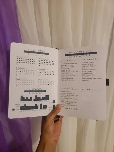 amino-bullet-journal-lynaejournals-12b2c13d