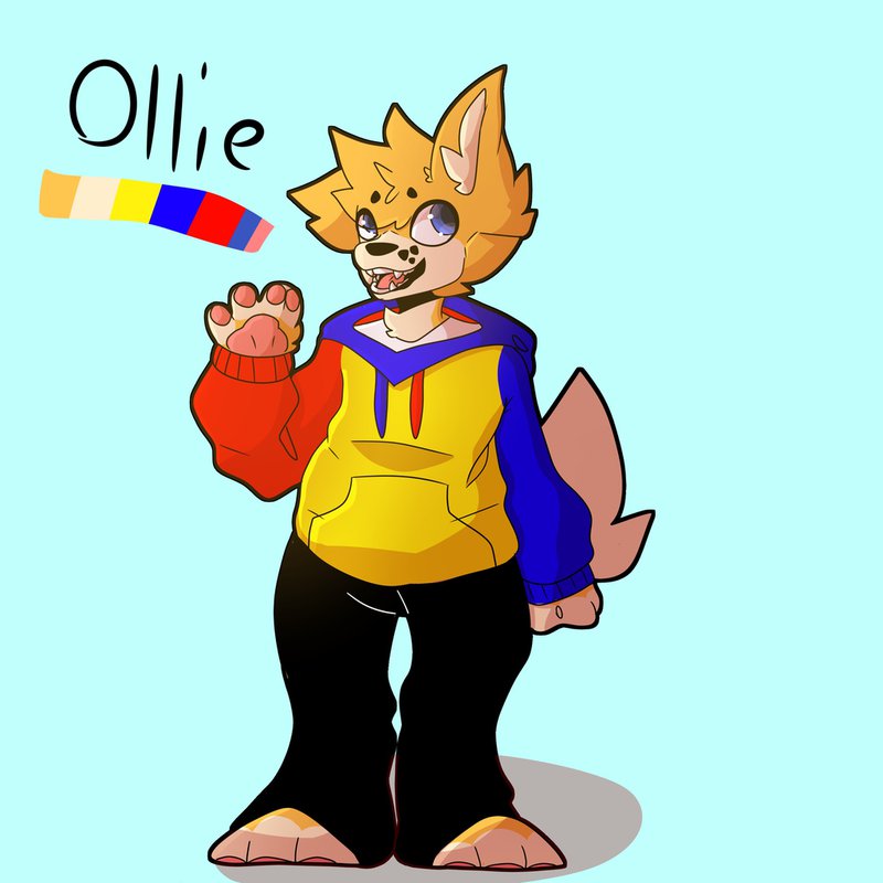 amino-Ollie Collie-3ba666f8