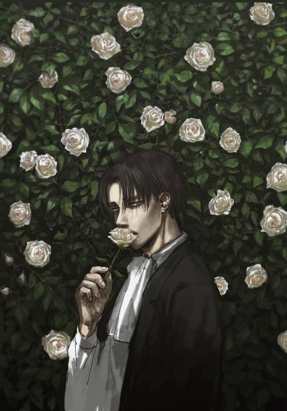 amino-Levi Ackerman-548eca9b