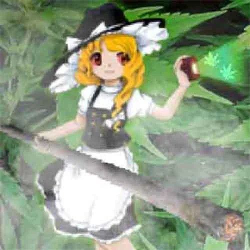 amino-Touhouyamax-2eb78d25